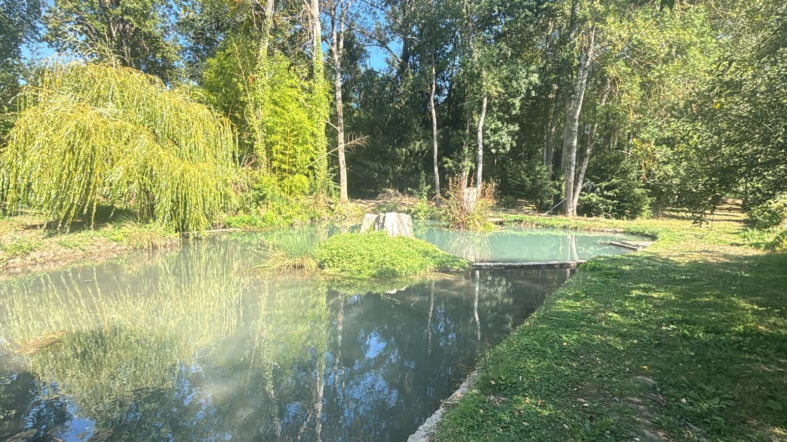 Grand bassin naturel entouré d'arbres et de végétation